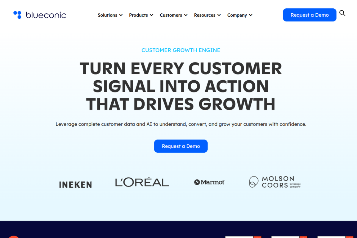 BlueConic